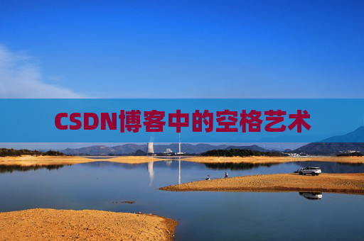 CSDN博客中的空格艺术